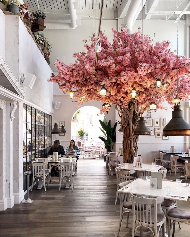 cây trang trí decor màu hồng trong quán cafe